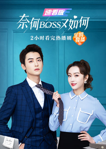 奈何BOSS又如何 速看版