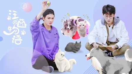 汪喵物语简体版