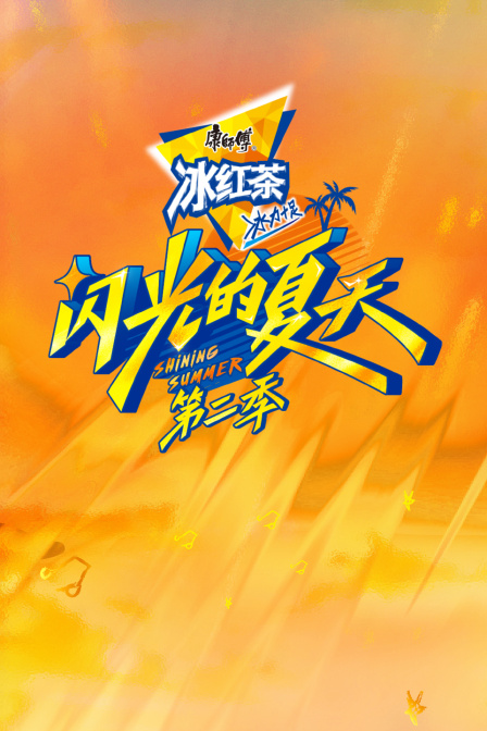 闪光的夏天第二季