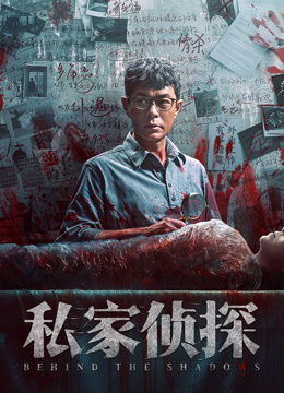 私家侦探