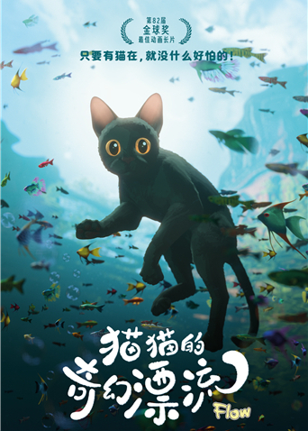 猫猫的奇幻漂流