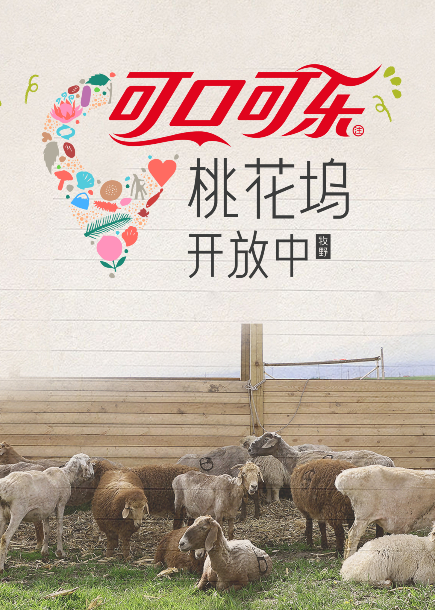 桃花坞开放中第四季