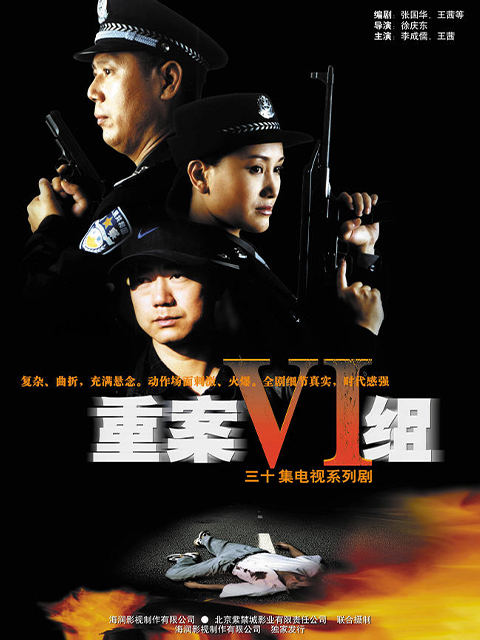 重案六组第一部