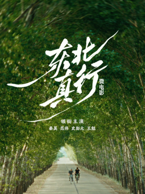 东北真行-电影-高清正版在线观看-bilibili-哔哩哔哩